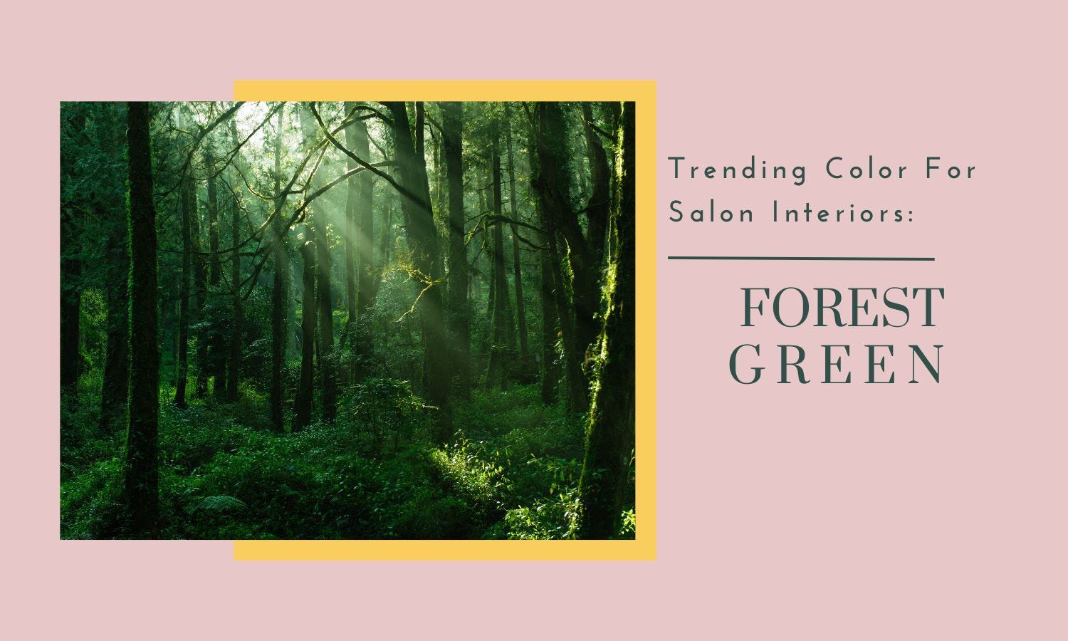 Trending Color For Salon Interiors: Forest Green