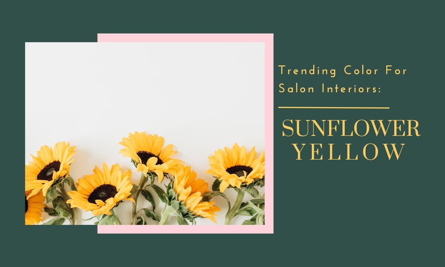 Trending Color For Salon Interiors: Sunflower Yellow